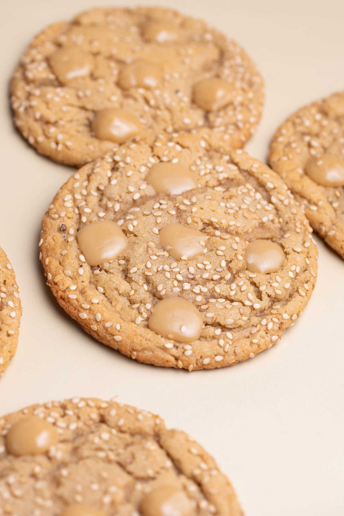 Sesame Tahini Cookie with White Chocolate Ganache